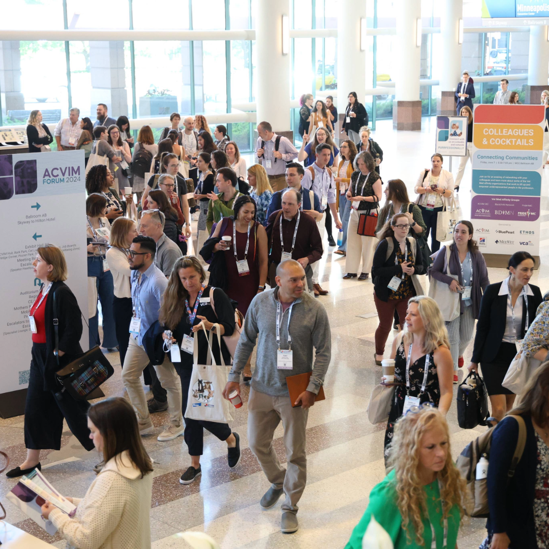 Crowd of attendees walking