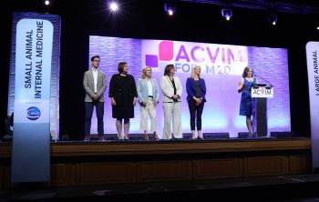 Five sponsors standing on stage being recognized