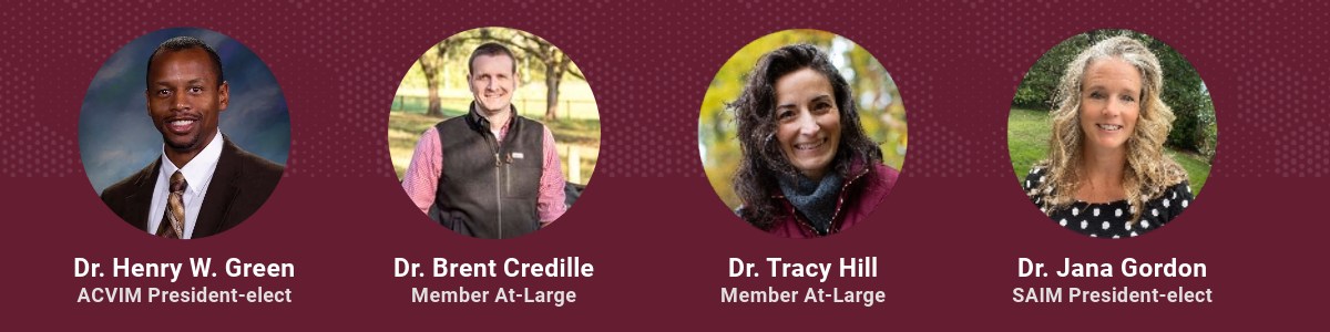 Photos of Dr. Henry W. Green, Dr. Brent Credille, Dr. Tracy Hill and Dr. Jana Gordon, newly elected members of the ACVIM Board of Regents.