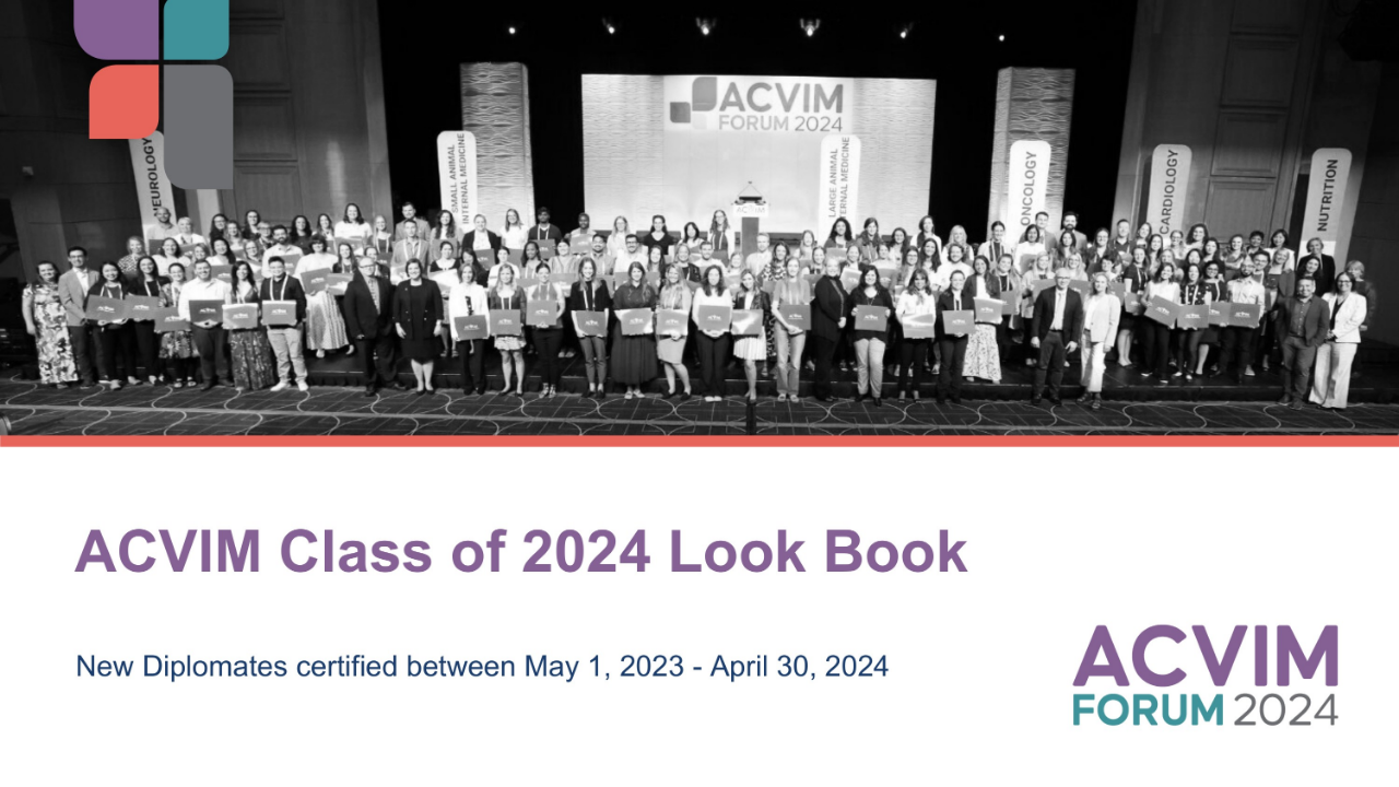 Class of 2024 Look Book New Diplomates!